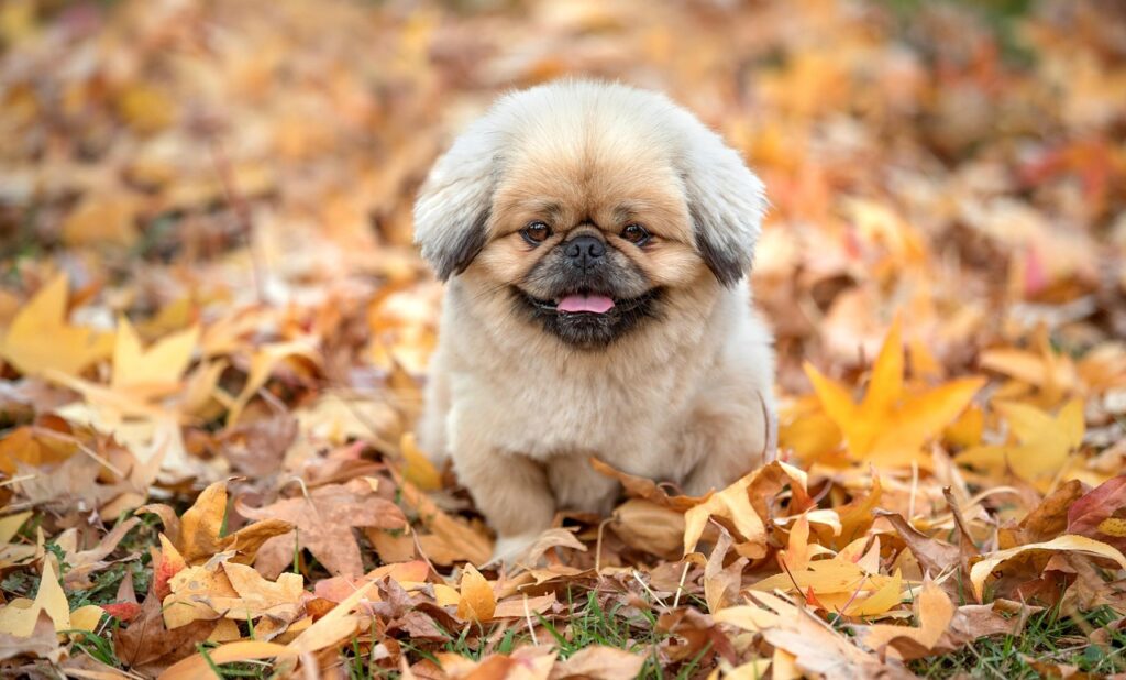 秋キャンプでの防寒方法はどのようにすればいい？