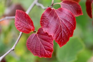 秋キャンプに最適な赤ちゃん向けの服装は？