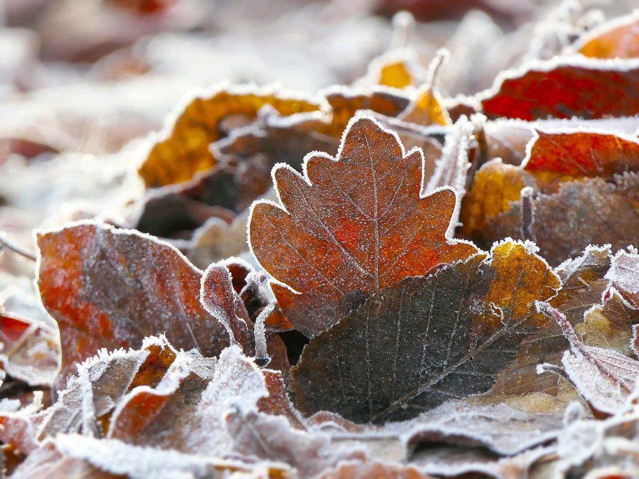 秋キャンプで赤ちゃんを守る寒さ対策に必要な持ち物は？